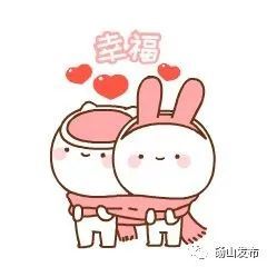 新澳门一码一码100准确详细解答、解释与落实、深度解答解释落实